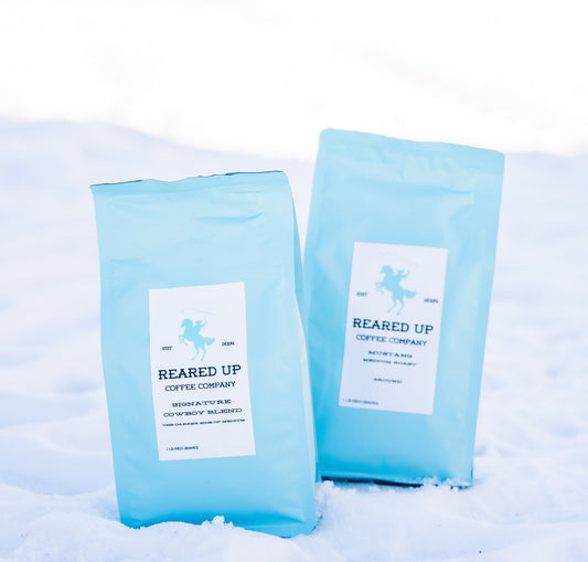 PALOMINO LIGHT  Coffee with a big caffeine kick, fruit forward nose and smooth finish.